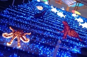image/2016-12-01T123A483A08-1.jpg