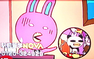nova1.jpg